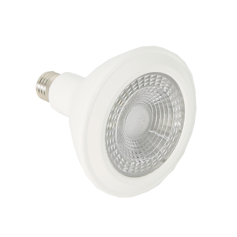 LED Light
