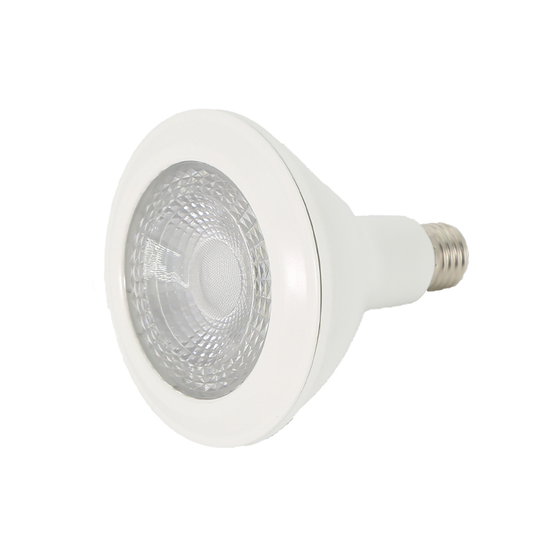 LED Light