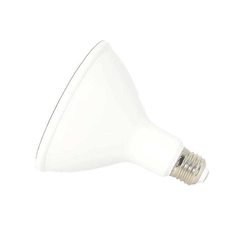 LED Light